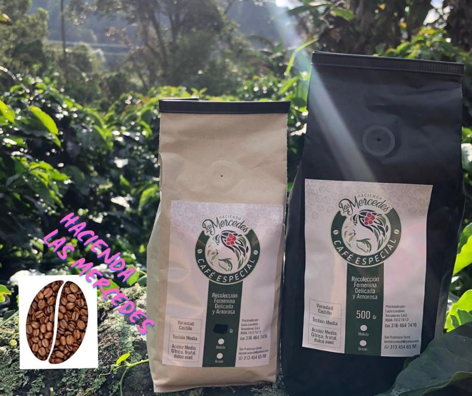 木屋 Tipo Glamping En Cafetera Con Zonas Verdes, Avistamiento De Aves, Paisaje Cafetero