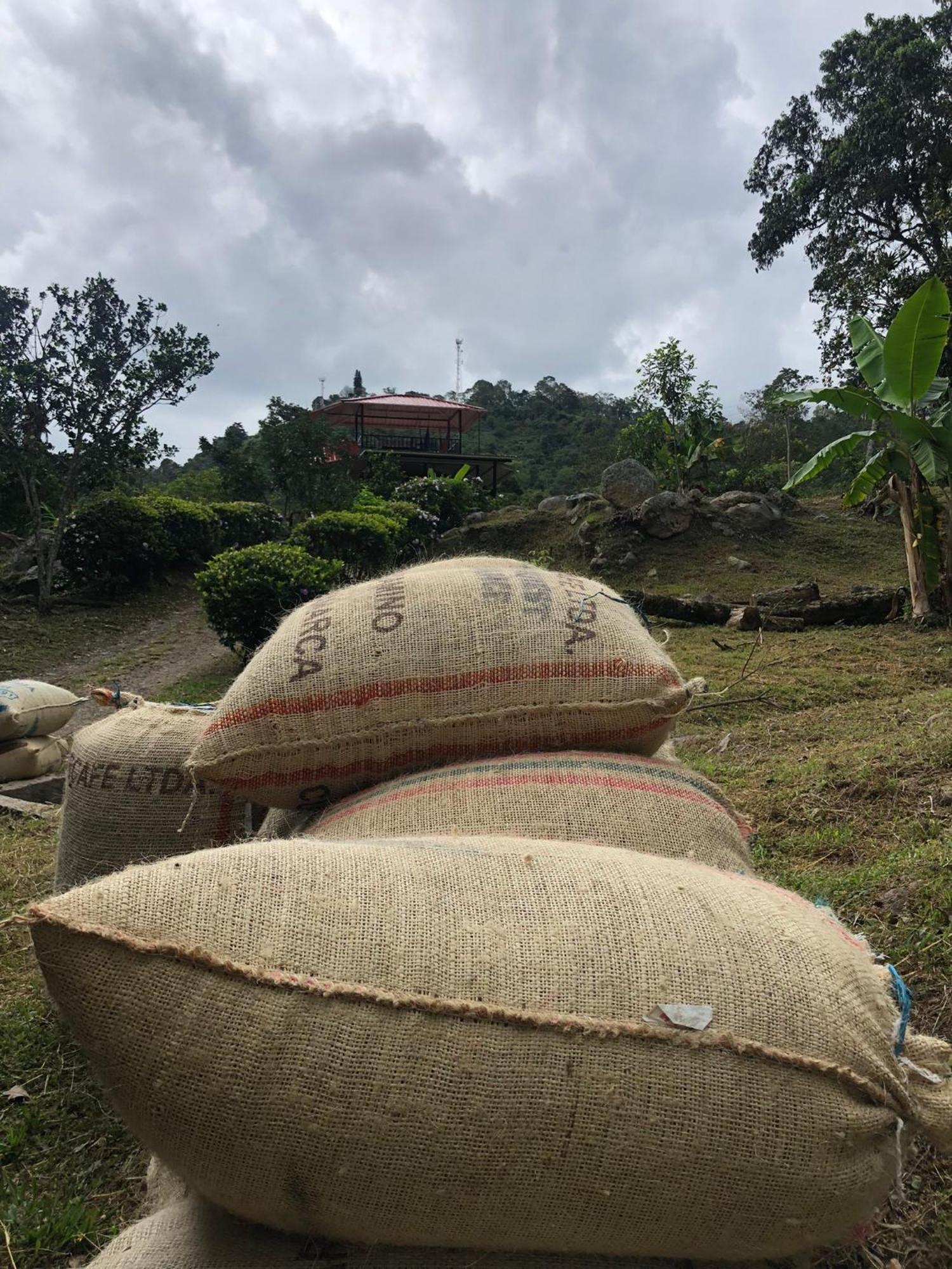 木屋 Tipo Glamping En Cafetera Con Zonas Verdes, Avistamiento De Aves, Paisaje Cafetero *