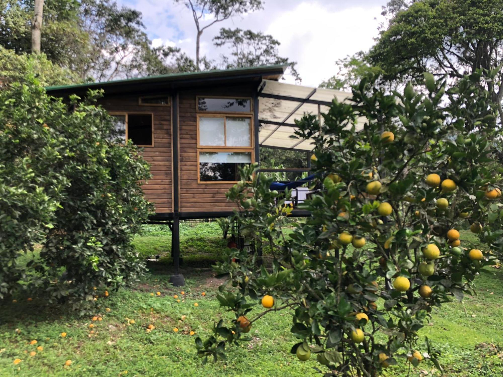 Tipo Glamping En Cafetera Con Zonas Verdes, Avistamiento De Aves, Paisaje Cafetero San Francisco (Cundinamarca)