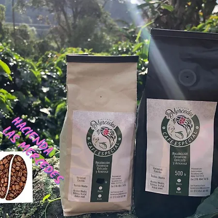 Hermosa cabaña en finca cafetera con zonas verdes, avistamiento de aves, paisaje cafetero San Francisco  Exterior foto