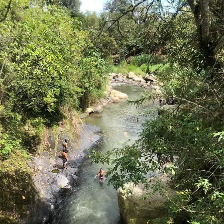 Hermosa cabaña en finca cafetera con zonas verdes, avistamiento de aves, paisaje cafetero San Francisco  Exterior foto