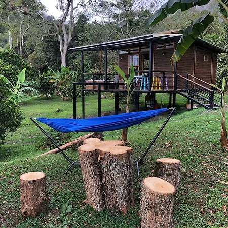 Hermosa cabaña en finca cafetera con zonas verdes, avistamiento de aves, paisaje cafetero San Francisco  Exterior foto