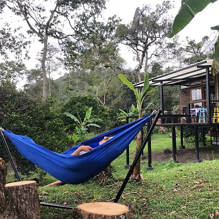 Hermosa cabaña en finca cafetera con zonas verdes, avistamiento de aves, paisaje cafetero San Francisco  Exterior foto
