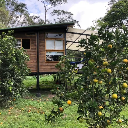 Hermosa cabaña en finca cafetera con zonas verdes, avistamiento de aves, paisaje cafetero San Francisco  Exterior foto