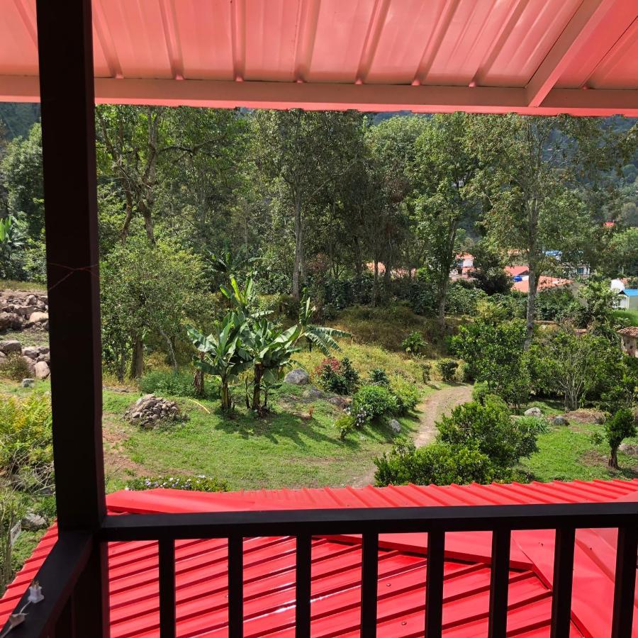 Tipo Glamping En Cafetera Con Zonas Verdes, Avistamiento De Aves, Paisaje Cafetero Chalet *