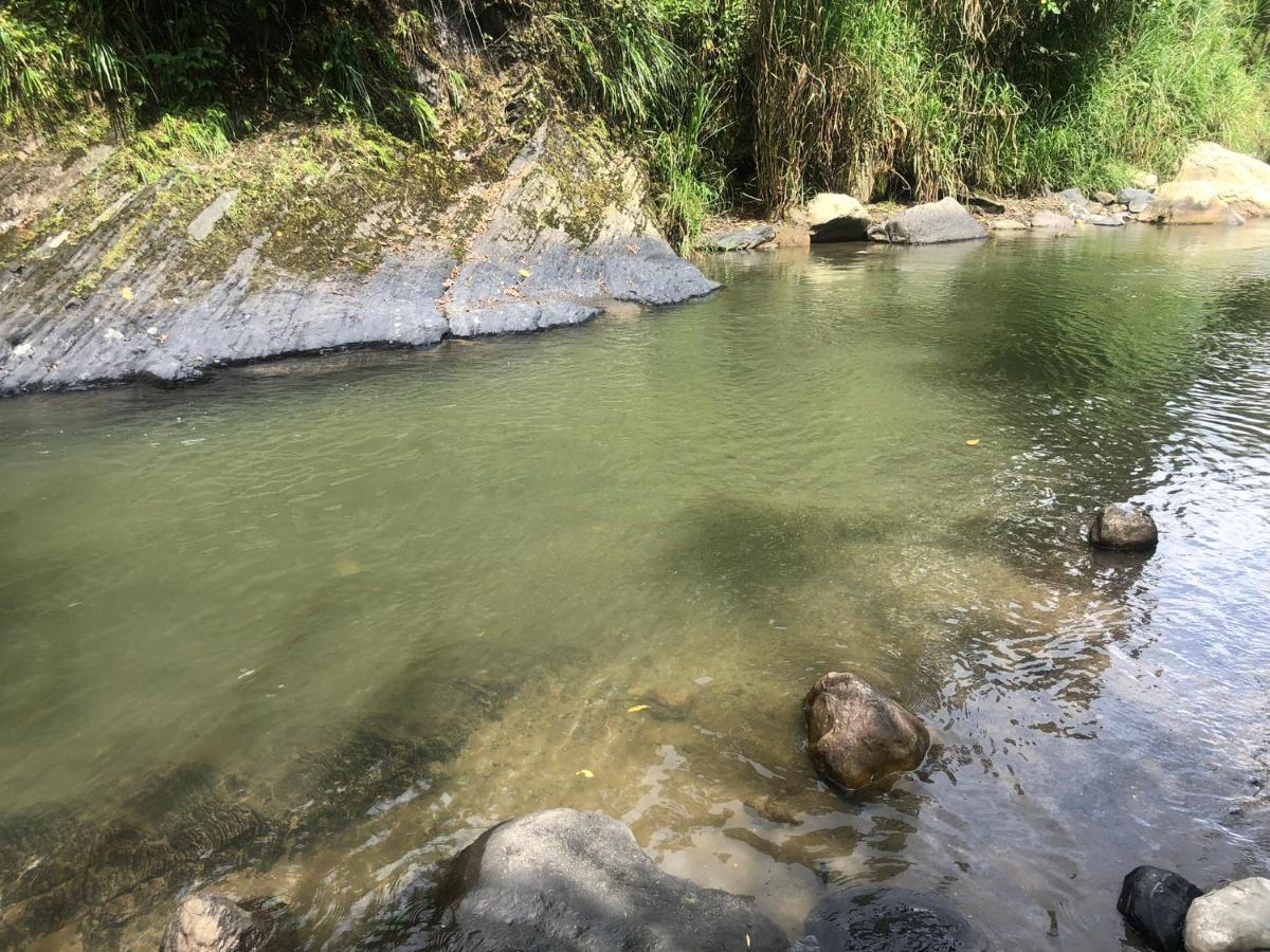 Tipo Glamping En Cafetera Con Zonas Verdes, Avistamiento De Aves, Paisaje Cafetero Chalet *
