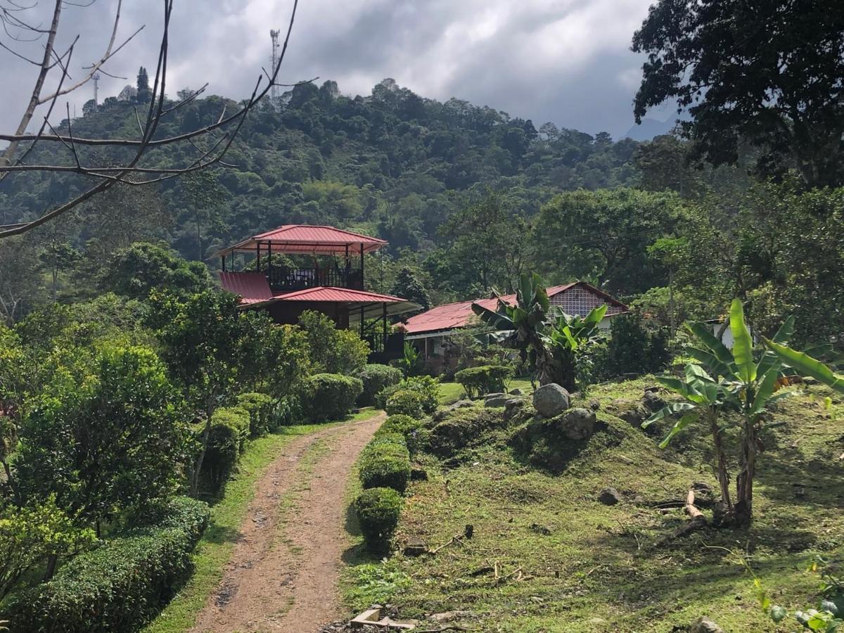 Chalet Tipo Glamping En Cafetera Con Zonas Verdes, Avistamiento De Aves, Paisaje Cafetero