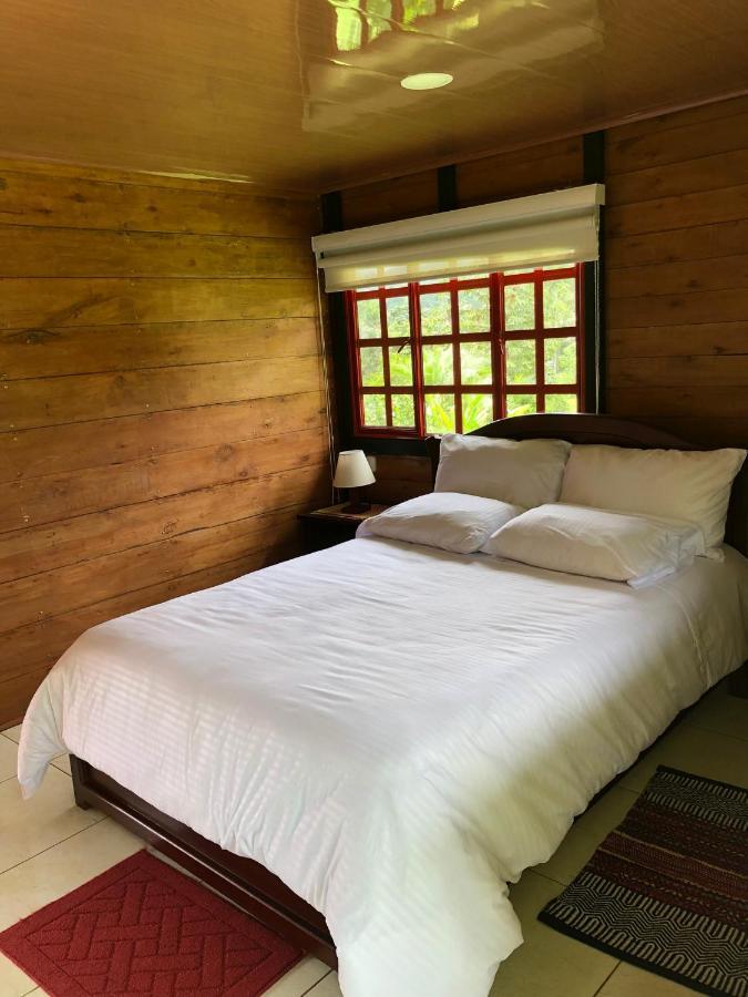Chalet Tipo Glamping En Cafetera Con Zonas Verdes, Avistamiento De Aves, Paisaje Cafetero *