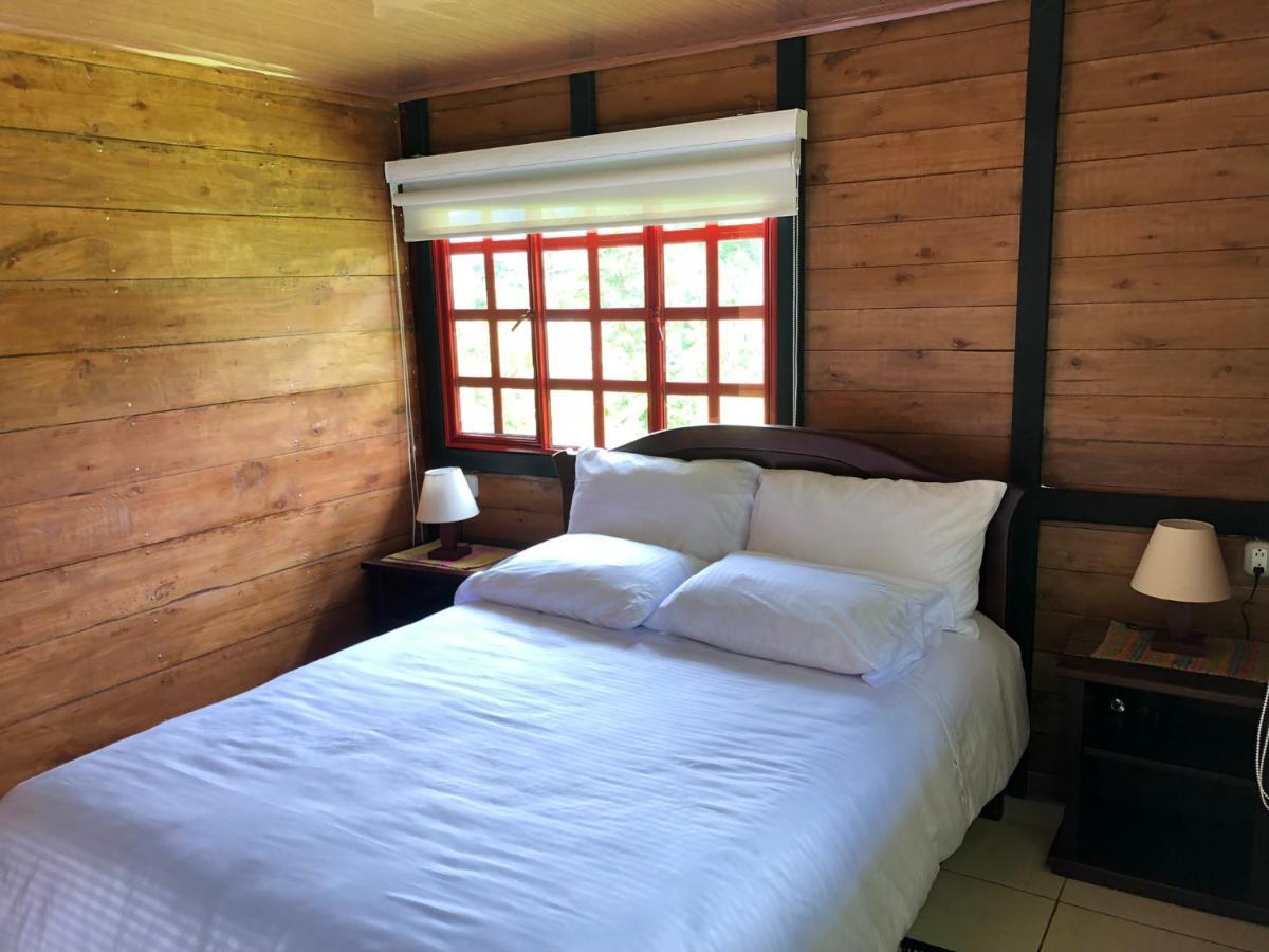 Tipo Glamping En Cafetera Con Zonas Verdes, Avistamiento De Aves, Paisaje Cafetero Chalet