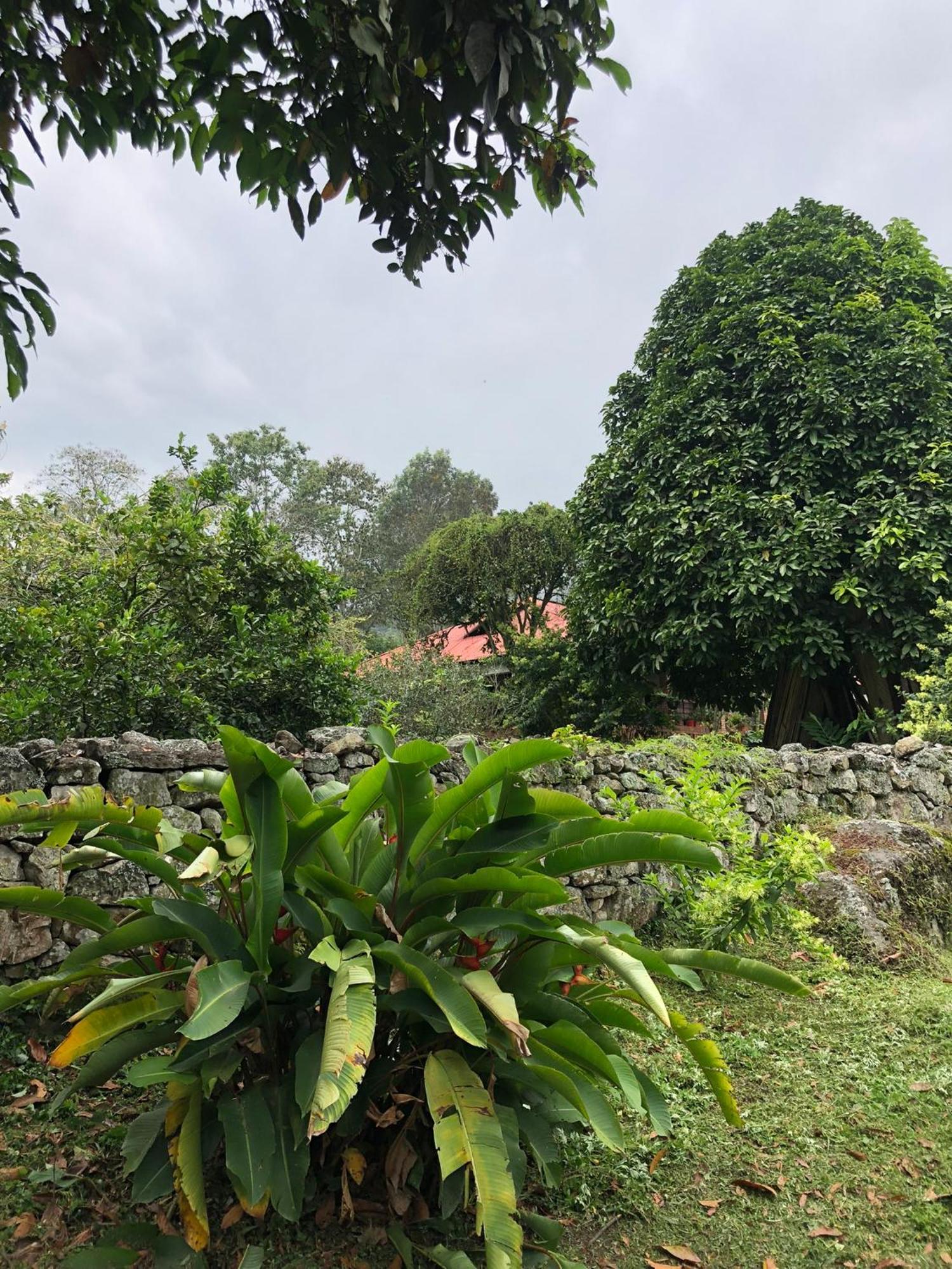 Tipo Glamping En Cafetera Con Zonas Verdes, Avistamiento De Aves, Paisaje Cafetero Chalet San Francisco (Cundinamarca)