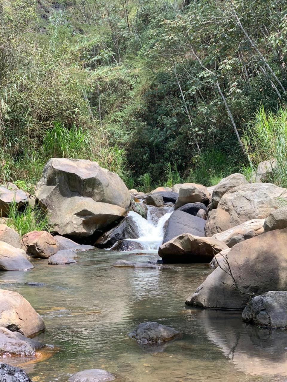 Tipo Glamping En Cafetera Con Zonas Verdes, Avistamiento De Aves, Paisaje Cafetero San Francisco (Cundinamarca)